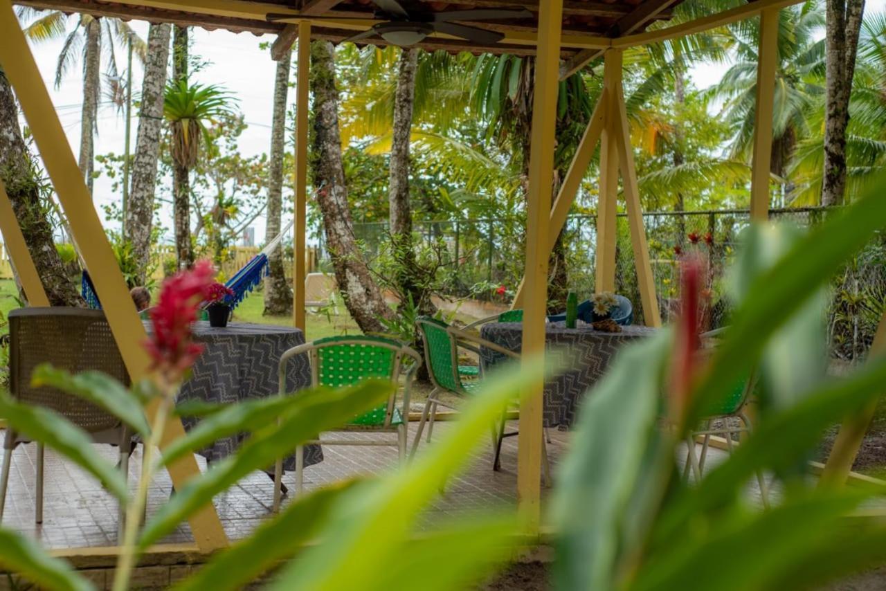 Hotel Tierra Verde Bed And Breakfast Bocas Town Exterior photo