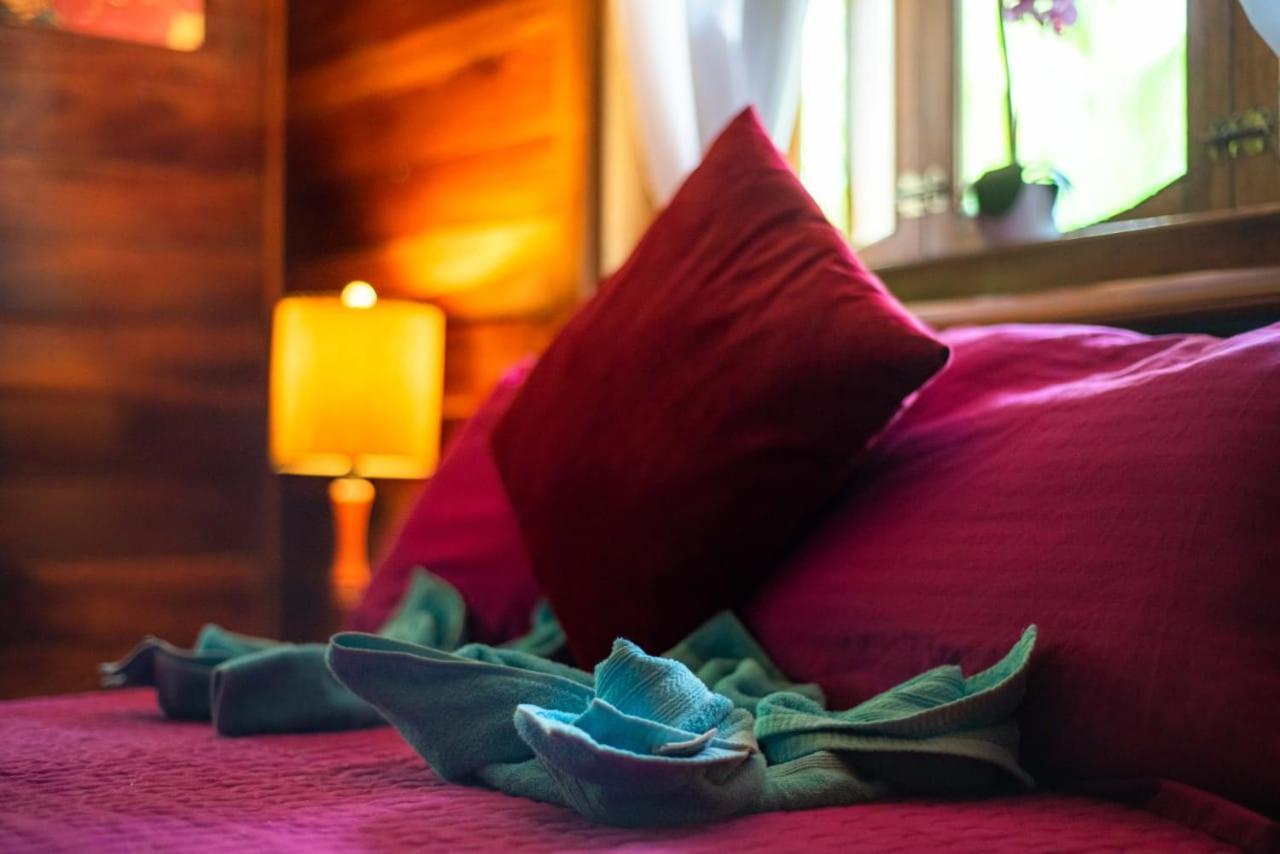 Hotel Tierra Verde Bed And Breakfast Bocas Town Exterior photo