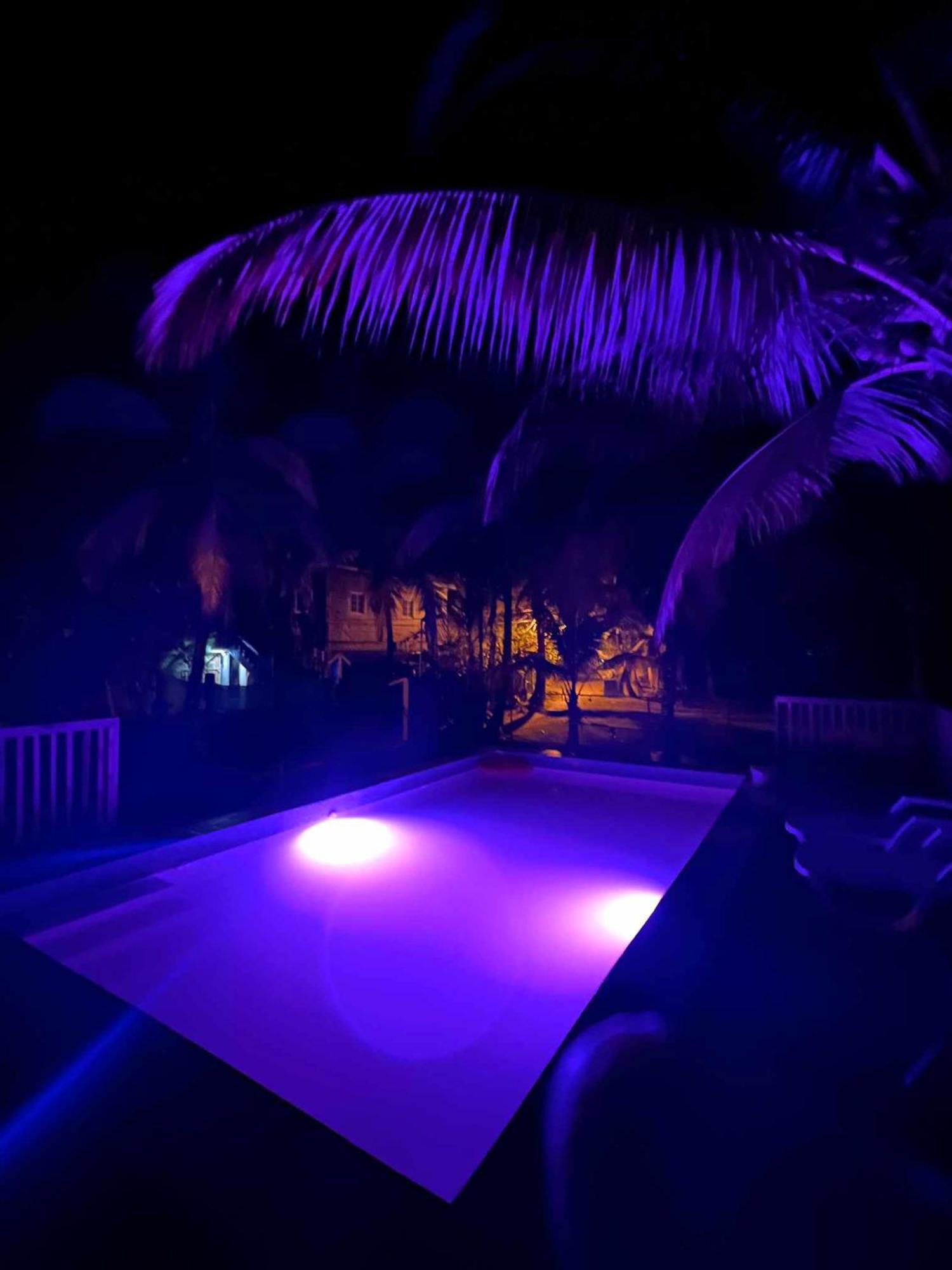 Hotel Tierra Verde Bed And Breakfast Bocas Town Exterior photo