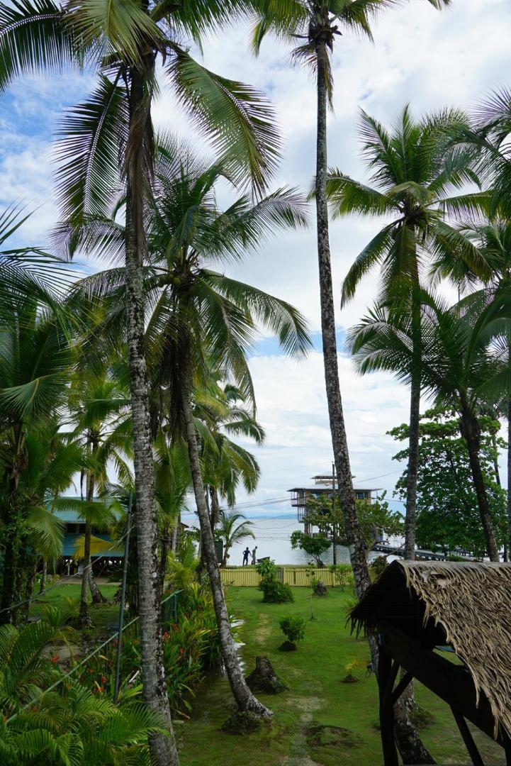 Hotel Tierra Verde Bed And Breakfast Bocas Town Exterior photo