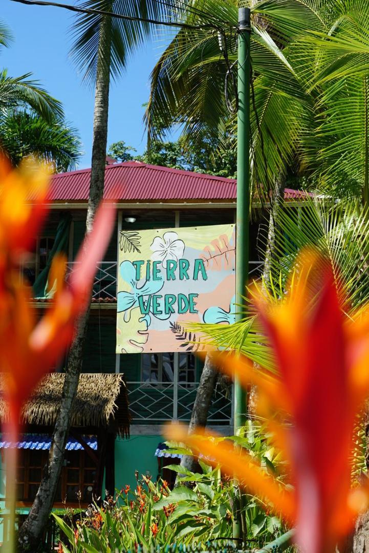 Hotel Tierra Verde Bed And Breakfast Bocas Town Exterior photo